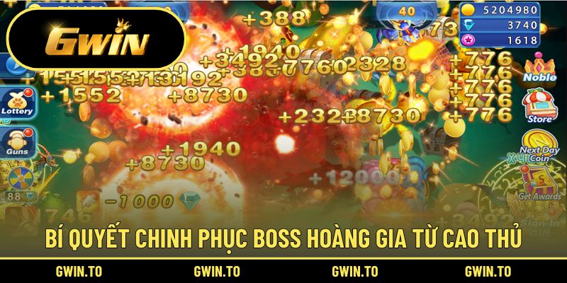 Chia sẻ cẩm nang săn cá Hoàng Gia hiệu quả