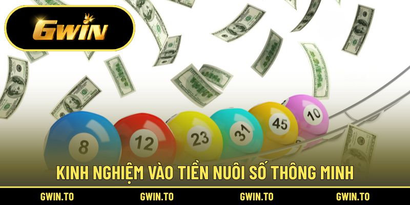 Cẩm nang cá cược xổ số online thắng lớn